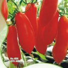 20 Seeds Rare Anhui Red 'Banana' Long Tomato Organic