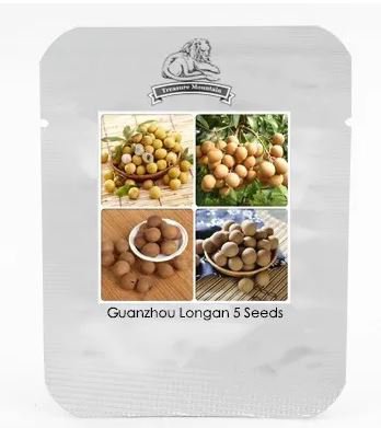 5 Seeds Guanzhou Longan Fruit