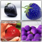 100 seeds Mixed Strawberry Seeds Black Blue Giant Red Purple