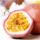 40 Seeds Purple Passion Fruits passiflora edulis sour sweet egg fruit nutritious Granadilla