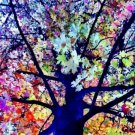 100 Seeds Rare Rainbow Tree Eucalyptus Deglupta Mindanao Gum Home Garden