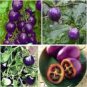 25 Seeds Rare Purple Cherry Tomato Organic