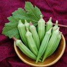 100 Seeds Green Okra Clemsons Spineless Red gumbo Herb Vegetable