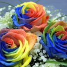 200 Seeds Rose Rainbow Flower