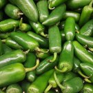 10 Seeds Famous Spanish Heirloom Padron Pepper