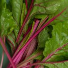 20 Seeds Perpetual Spinach varieties Swiss Chard Pink Flamngo