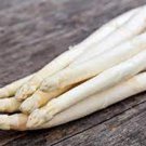 20 Seeds Rare White Asparagus Organic Chinese Vegetable