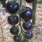 100 Seeds USA Organic Indigo Rose Blue Tomato