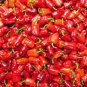 20 Seeds Bell Pepper 'Cajun Belle' Vegetable