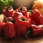 20 Seeds Bell Pepper 'Cajun Belle' Vegetable
