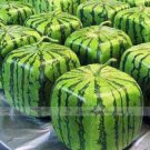 20 Seeds Square Water Melon Seed Red Sweet Juicy Watermelon