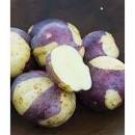 100 Seeds Potato Seeds Purple Color