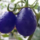 100 Seeds Mixed Pear-shaped and Round Purple Cherry Tomato