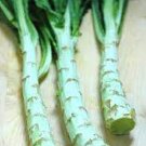 30 Seeds Chinese Green Asparagus Lettuce