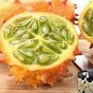 50 Seeds Rare Heirloom African Horned Melon