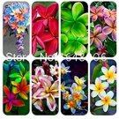 100 Seeds Garden Plumeria
