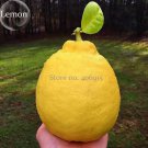 20 Seeds Rare the World Biggest Lemon Fruits