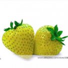 200 Seeds Sweet Yellow Alpine Strawberry  Non-gmo Organic Fruit