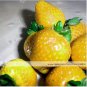 200 Seeds Sweet Yellow Alpine Strawberry  Non-gmo Organic Fruit