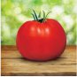 100 Seeds Park's Whopper CR Improved Hybrid Tomato