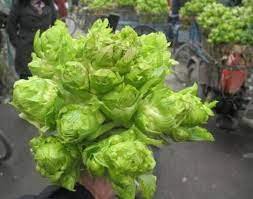 30 Seeds Organic Brassica Juncea Coss Vegetable