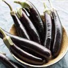 1000 Seeds Japanese Black Long Eggplant