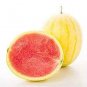 100 Seeds Yellow Skin Red Seedless Watermelon