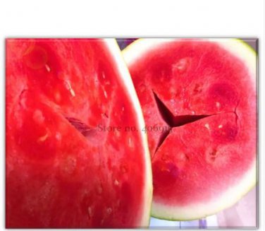10 Seeds Red Seedless Watermelon Fruit