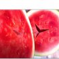 10 Seeds Red Seedless Watermelon Fruit