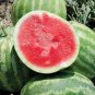 10 Seeds Red Seedless Watermelon Fruit
