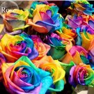50 Seeds Colorful Rainbow Rose Valentine Lover Flower