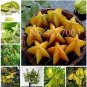 50 Seeds Carambola