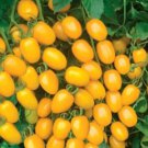 20 Seeds Rare 'Imperial concubine' F1 Yellow Cherry Tomato