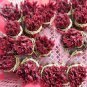 50 Seeds Cedrela Sinensis Chinese Toon Organic Vegetable