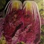 50 Seeds Red Chinese Cabbage