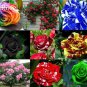 50 Seeds Rare Mixed 12 Types Heirloom Rose Shrub Flowers