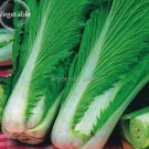 200 Seeds Wong Bok Chinese Green Napa Cabbage