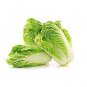 200 Seeds Wong Bok Chinese Green Napa Cabbage