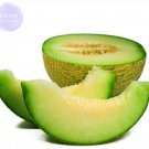 20 Seeds Honeydew Sweet Melon