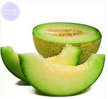 20 Seeds Honeydew Sweet Melon
