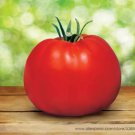 100 Seeds Park's Whopper CR Improved Tomato