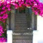 100 Seeds Perfume Rainbow Climbing Plants Coulourful Rock Cress Flower