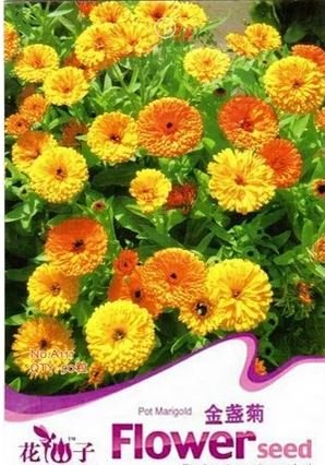 50 Seeds Calendula