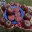 100 Seeds Eluosi' Cherokee Purple Giant Tomato