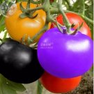 100 Seeds Rainbow / Black Elephant Tomato