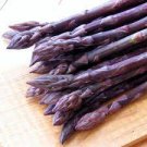 50 seeds Four Seasons Purple Asparagus