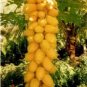 20 seeds Dwarf_Sweet Papaya