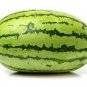 20 seeds Colorful Ellipse Sweet Melon Seeds