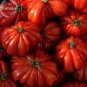 100 seeds Rare Zapotec Ruffled Bright Red Tomato