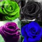 50 seeds Mixed 4 Types of Blue Red Purple Green Rainbow Garden Rose Plants Flowers